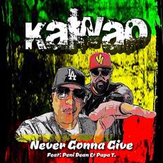 Never Gonna Give mp3 Single by Kawao