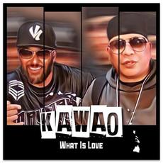 What Is Love mp3 Single by Kawao