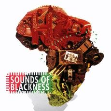 The Evolution of Gospel mp3 Album by Sounds Of Blackness