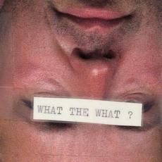 What The What? mp3 Album by Russ Stedman