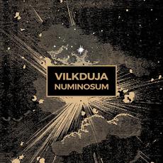 Numinosum mp3 Album by Vilkduja