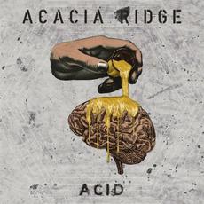 Acid mp3 Single by Acacia Ridge