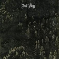 Myths About Trees mp3 Album by Forest Philosophy