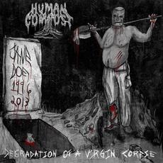 Degradation of a Virgin Corpse mp3 Album by Human Compost