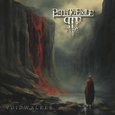 Voidwalker mp3 Album by Path to Exile