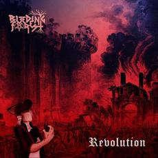 Revolution mp3 Album by Bleeding Forest