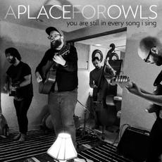 You Are Still In Every Song I Sing mp3 Album by A Place For Owls