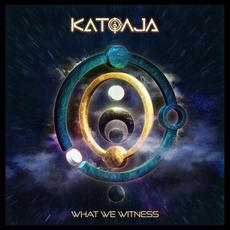 What We Witness mp3 Album by Katoaja