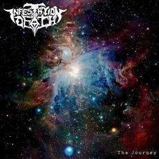 The Journey mp3 Album by Infestation of Death