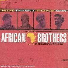 Mysterious Nature mp3 Album by African Brothers