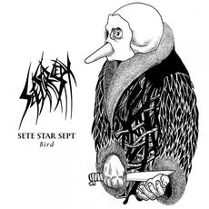 Bird mp3 Album by Sete Star Sept