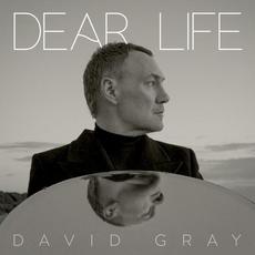 Dear Life mp3 Album by David Gray