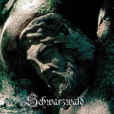 Schwarzwald mp3 Album by Acoustic Torment