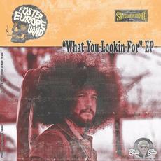 What You Lookin' For mp3 Album by Rob Europe