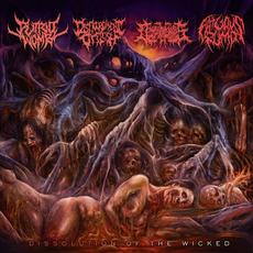 Dissolution Of The Wicked mp3 Album by Fatuous Rump