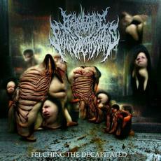 FELCHING THE DECAPITATED mp3 Album by Behold the Slitted Carcass