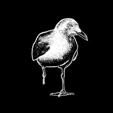 STIFF RICHARDS mp3 Album by STIFF RICHARDS