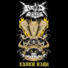 Under Dark mp3 Album by Acid Cross