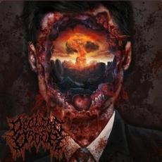 ISOLATED mp3 Single by Decline of Order