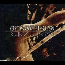 Auszüge aus "Leben und Lebenswille" mp3 Album by Bergthron