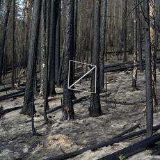 learning structures, vol. 2: end firma mp3 Album by Ryan Lott