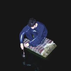 Catch mp3 Single by Palmistry