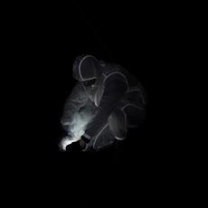 Protector SE5 mp3 Single by Palmistry