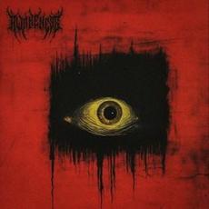 Empty Shells mp3 Single by Awakeness