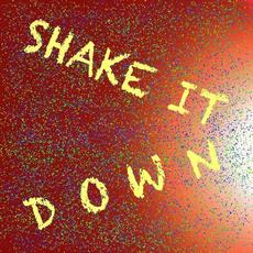 Shake It Down mp3 Single by Onyx Brown