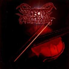 Exsecror Vecordia mp3 Album by Exsecror Vecordia