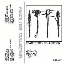 Collection mp3 Artist Compilation by Peace Test
