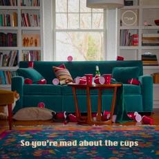 So You're Mad About The Cups mp3 Album by Sarah and the Sundays