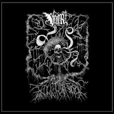 Numinous Negativity mp3 Album by Ventr