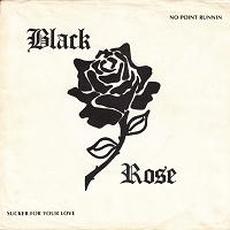 No Point Runnin' mp3 Single by Black Rose