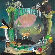 Tro mp3 Album by Danefae