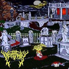 Vengeance From Beyond The Grave / Images Of Horror mp3 Album by Immortal Suffering