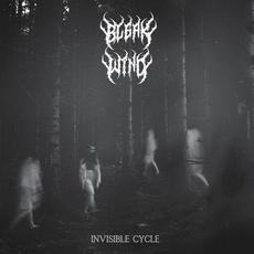Invisible Cycle mp3 Album by Bleak Wind