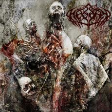 First Stab mp3 Album by Hegony