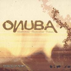 Electronic Flamenco Fusion mp3 Album by Onuba