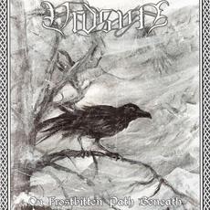 On Frostbitten Path Beneath mp3 Album by Vidsyn