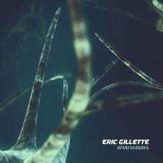 Afterthought mp3 Album by Eric Gillette