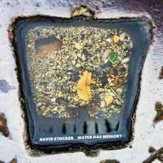 Water Has Memory mp3 Album by David Stocker