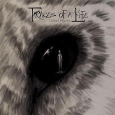 Distant Figures mp3 Album by Traces of a Life