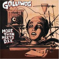 More Than Meets D.I.Y. mp3 Album by Golliwog