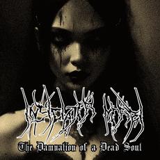 The Damnation of a Dead Soul mp3 Album by Insidiator Morbi