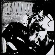 3 Way Grindcore Knockout mp3 Album by Entrails Massacre