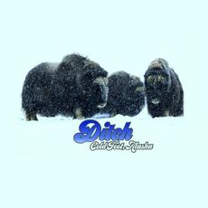 Coldfoot, Alaska mp3 Album by Ditch