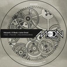Future (feat. Junior Dread) mp3 Single by Halcyonic & G Roots