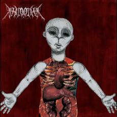 Rectoplasm mp3 Album by Rectoplasm
