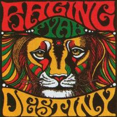 Destiny mp3 Album by Raging Fyah